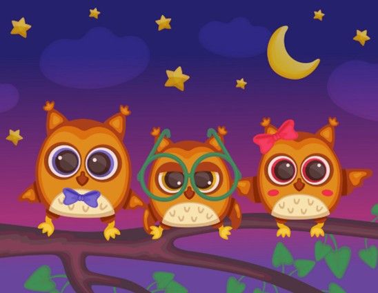 Night Owls Contact Number