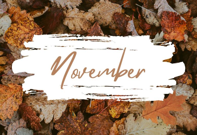 Newsletter - 14th November 2025