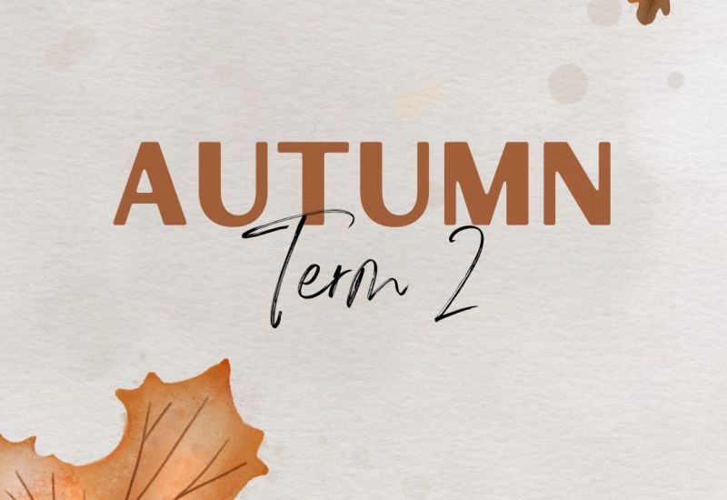 Newsletter 28th November 2025