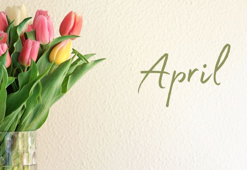 Newsletter - 24th April 2026