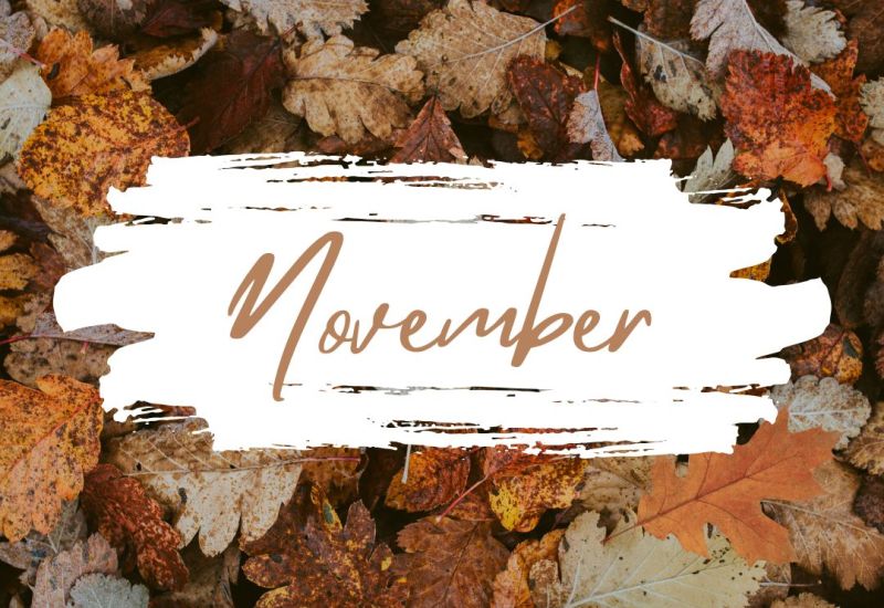 Newsletter - 14th November 2025