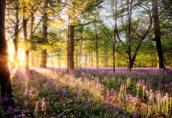 Newsletter 13th March 2026