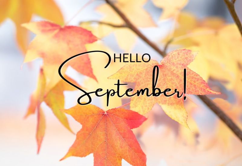Newsletter 11th September 2026