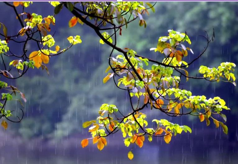 Newsletter 23rd October 2026