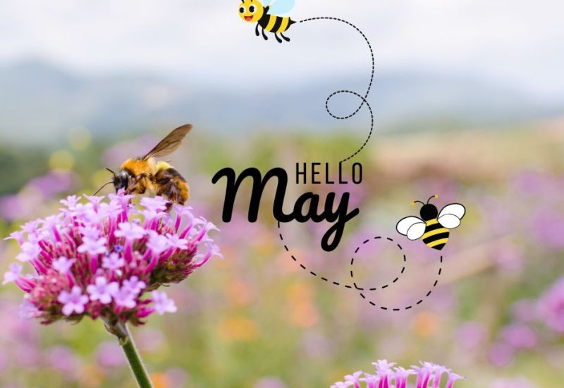 Newsletter - 8th May 2026