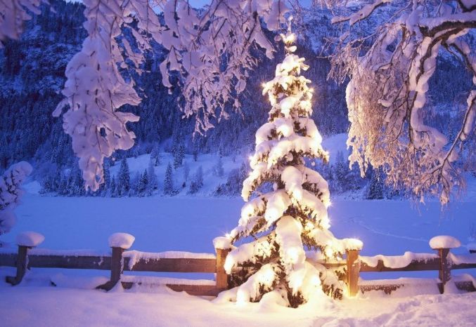 Newsletter 12th December 2025